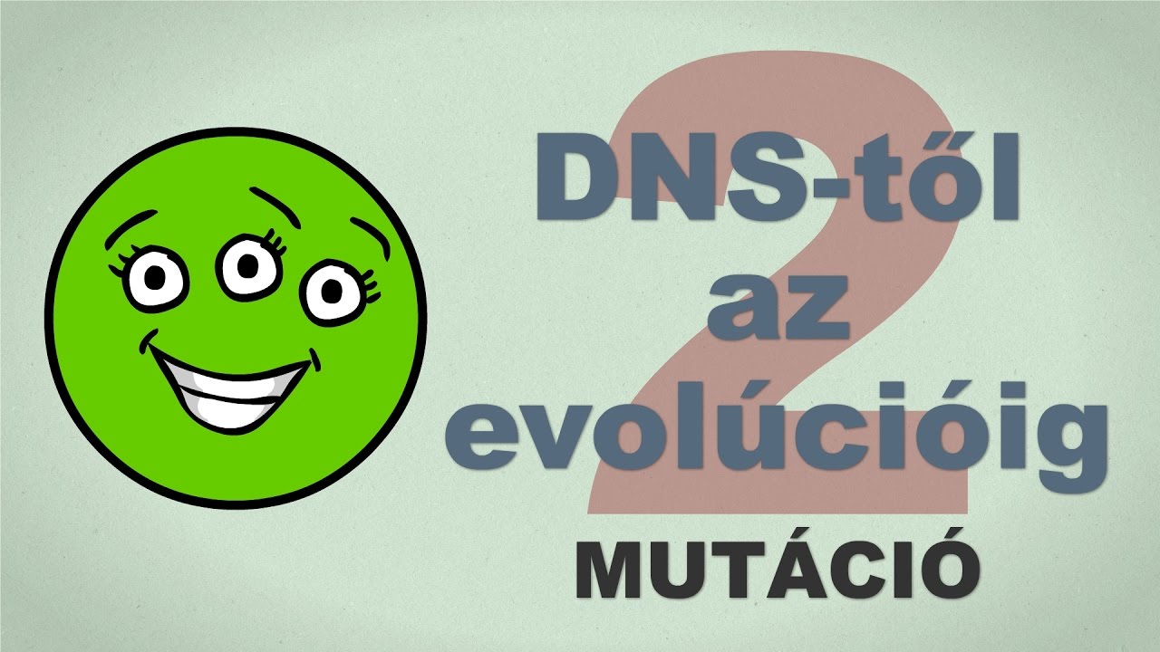 A DNS-től az evolúcióig - csak egyszerűen (2. rész)