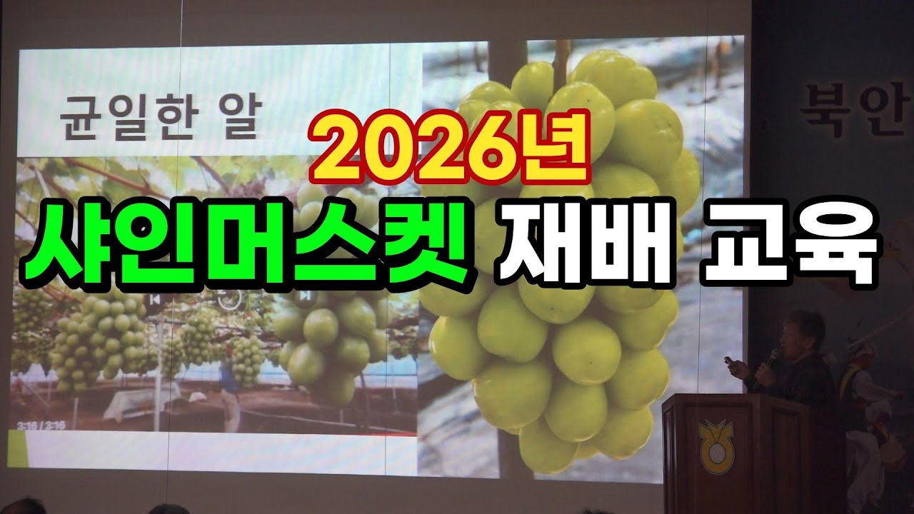 2026년 샤인머스켓재배 교육