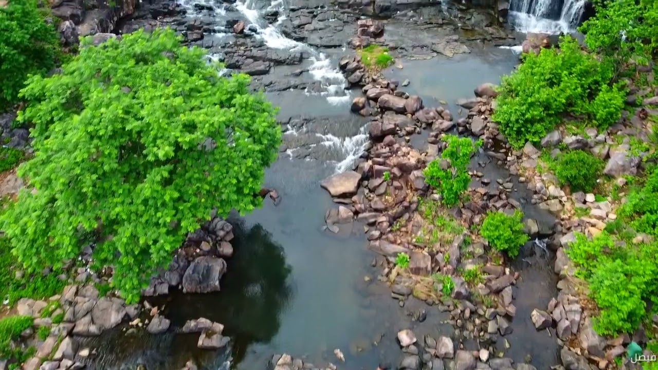 Monsoon 2022 | Nature