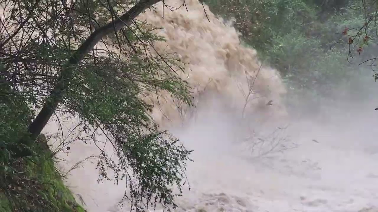 FLOODING!!! Don Castro Regional Recreation Area overflow high waters, Jan 4, 2026