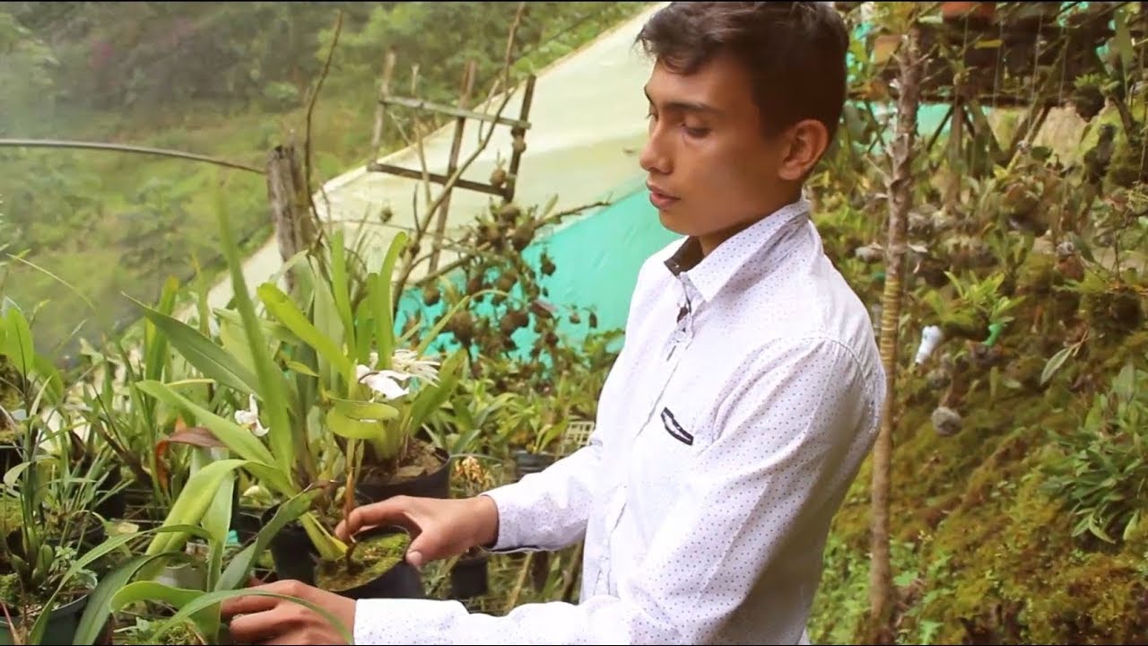 Joven orquideólogo tiene en su casa una de las colecciones de orquídeas más grandes
