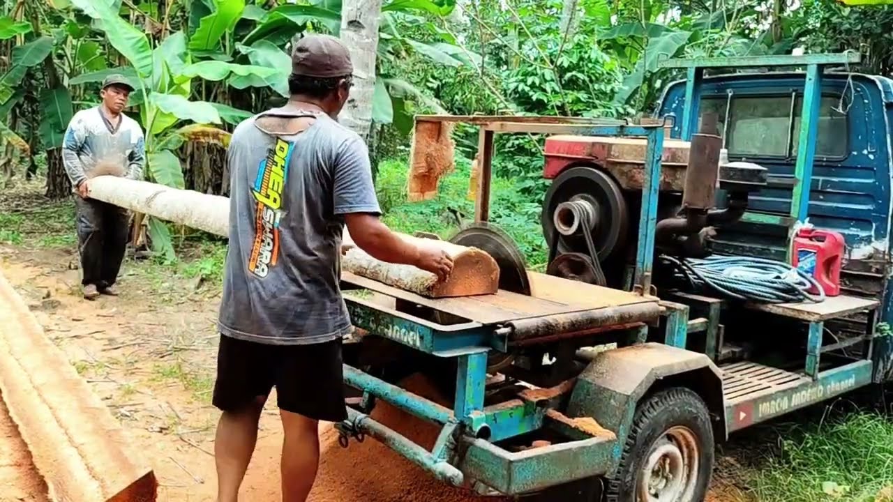 EXTRA MAXIMUM COCONUT TREE SAWING WITH THE ASSEMBLED SERKEL MACHINE