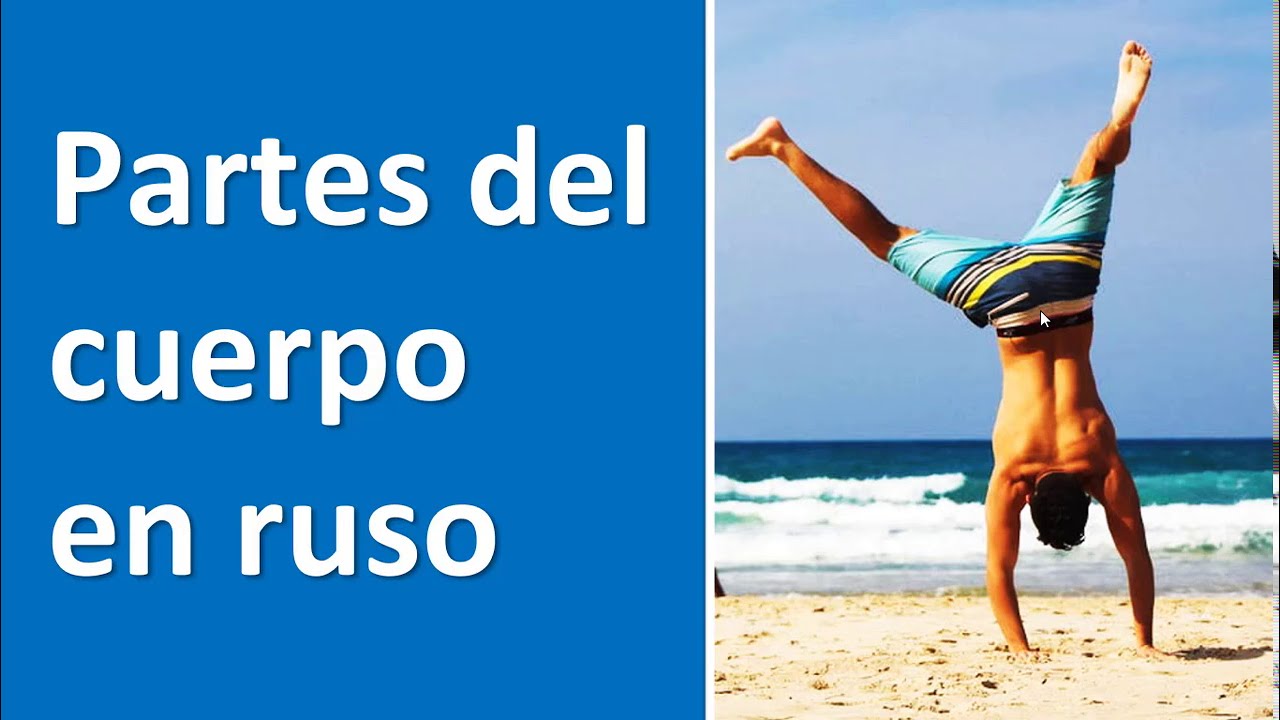 Partes del cuerpo en ruso | Vocabulario, palabras