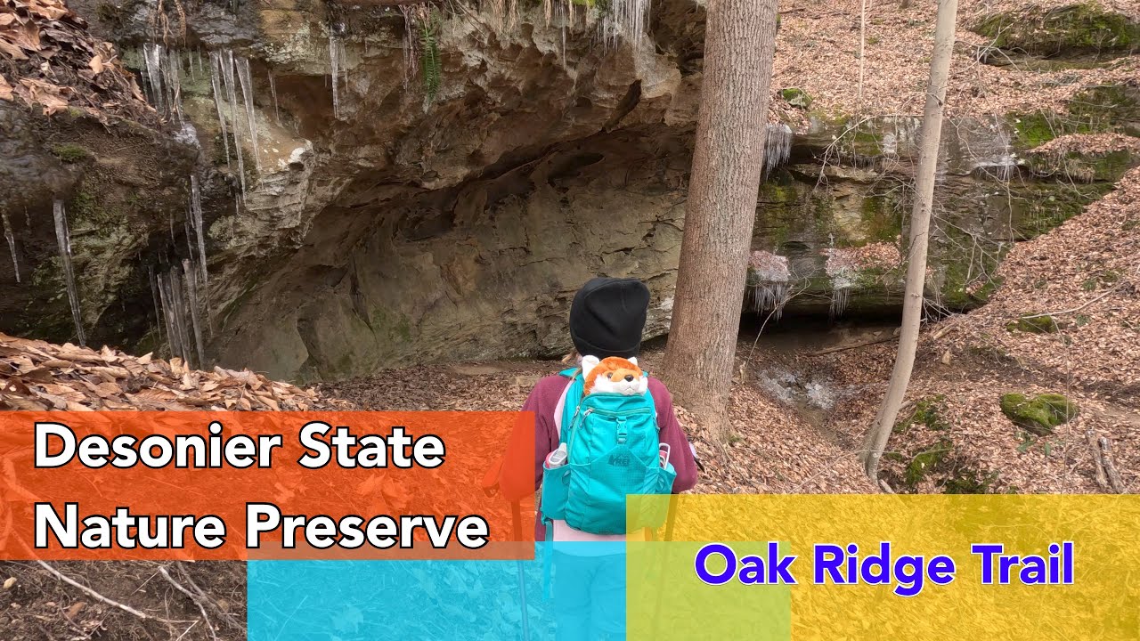 Desonier State Nature Preserve - New Oak Ridge Trail | 4K