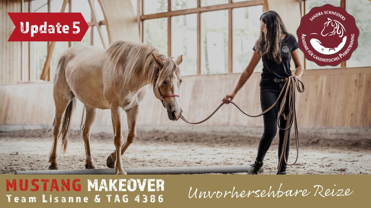 Wird sie über ihren Schatten springen?🐴 - Team Lisanne | MUSTANG MAKEOVER 2024