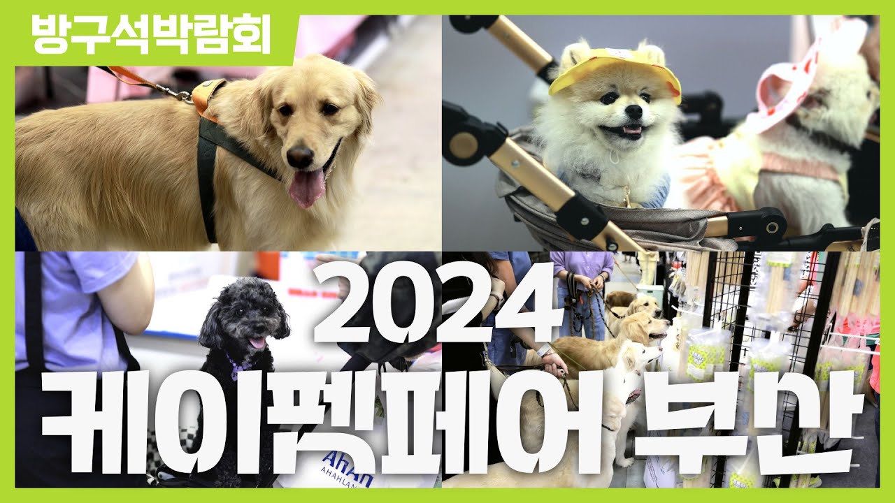 [방구석박람회] 2024 케이펫페어 부산ㅣK-PET PAIR BUSAN🐶🐱