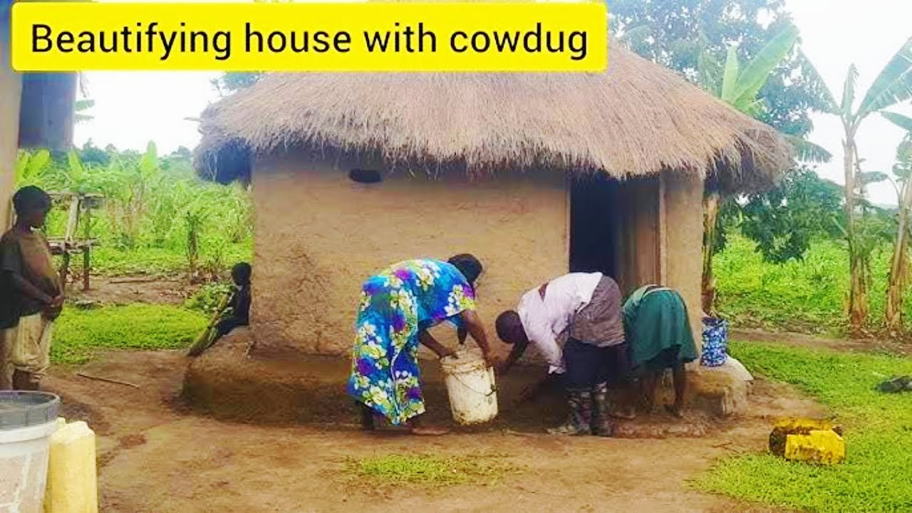 Cow dung magic,cementing African homes the traditional way