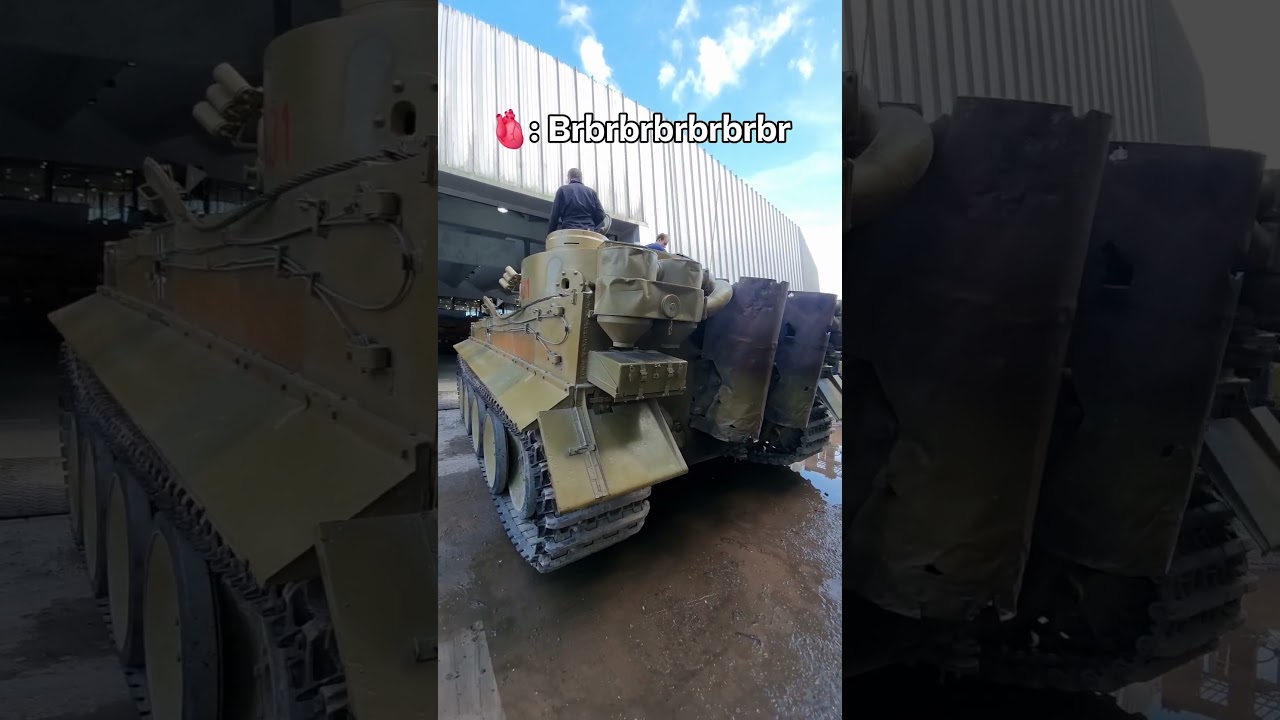 Tiger engine purrs #shorts