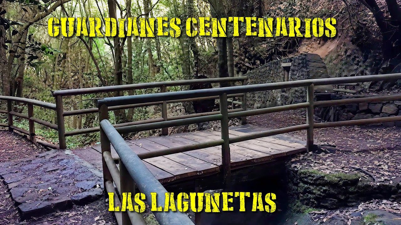 REPORTAJE 07x01 - RUTA  CIRCULAR Guardianes Centenarios - Cruz de Fune - Cuevas de Toledo.
