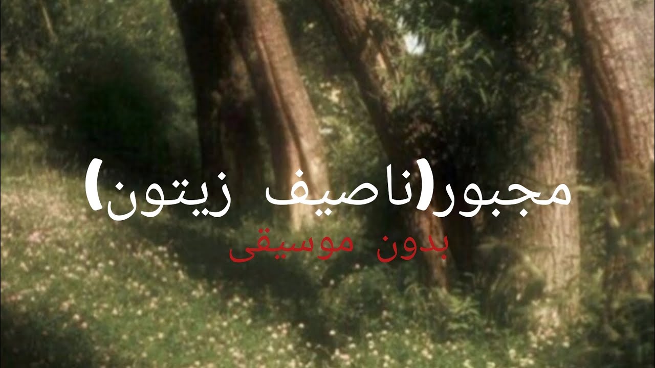 مجبور - نصيف زيتون (بدون موسيقى)+(كلمات في صندوق الوصف)