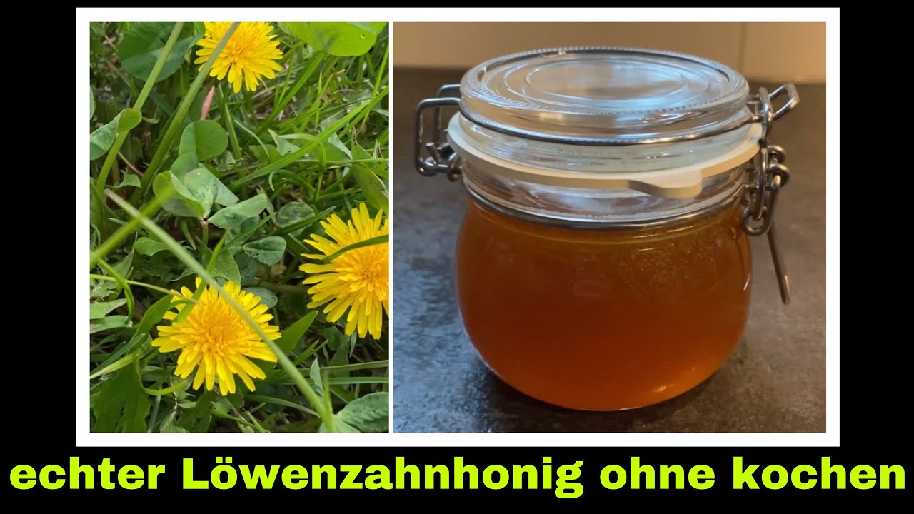 L&ouml;wenzahnhonig ohne kochen | streichf&auml;higer Honig mit L&ouml;wenzahnbl&uuml;ten | Selbstversorgung: L&ouml;wenzahn