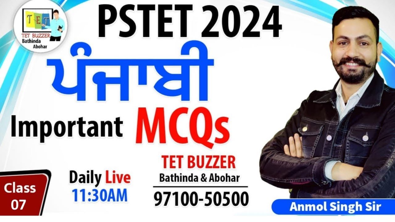 PSTET 2024 | Punjabi Important Questions 07 | Important Questions | TET BUZZER