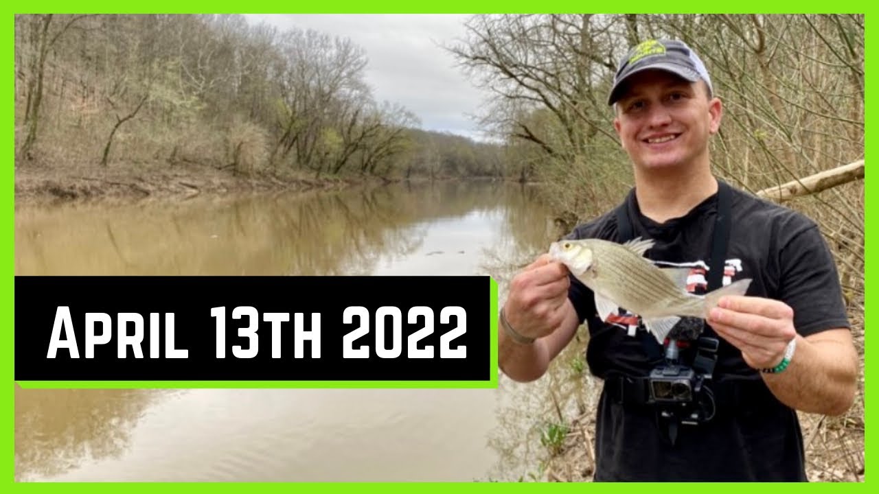 KENTUCKY WHITE BASS RUN UPDATE - 13 April