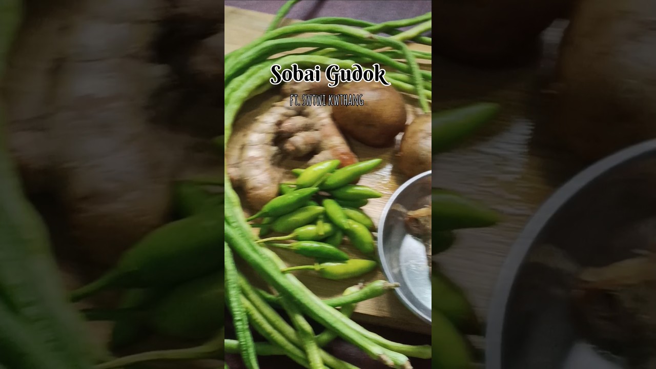 Sobai Gudok ft.Swtwi kwthang 🤤 #shorts  #youtubeshorts #tribalchief #tripuri #northeastindia