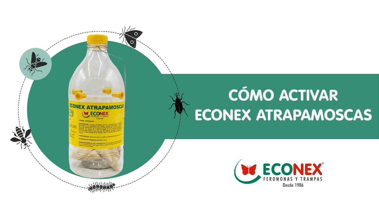 ACTIVACION DE ECONEX ATRAPAMOSCAS