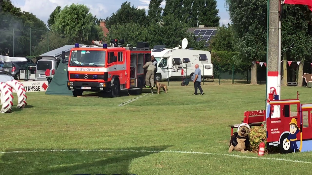 Mondioring Category 1 - Defence of Handler
