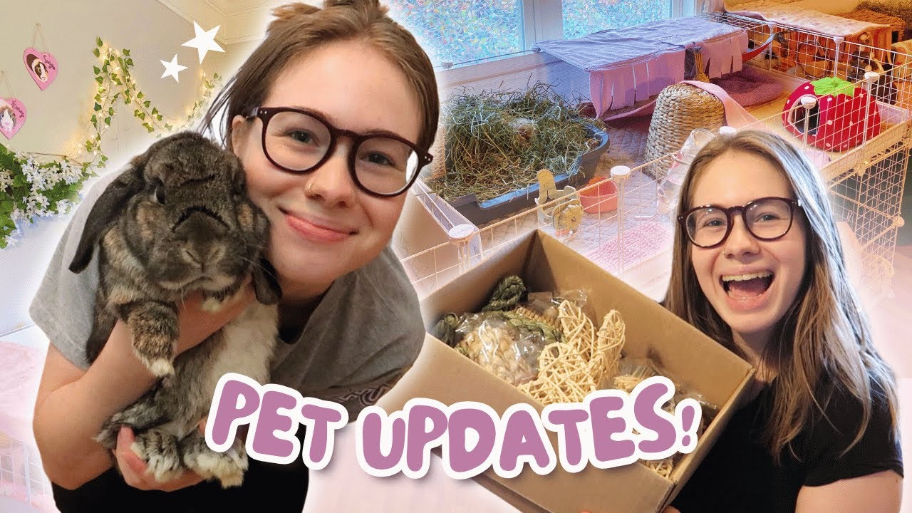 Pet Updates & Vlog 💕