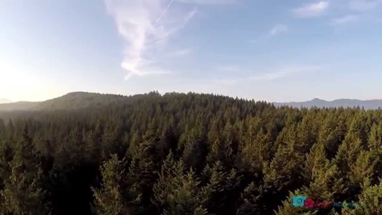 Kočevje iz zraka