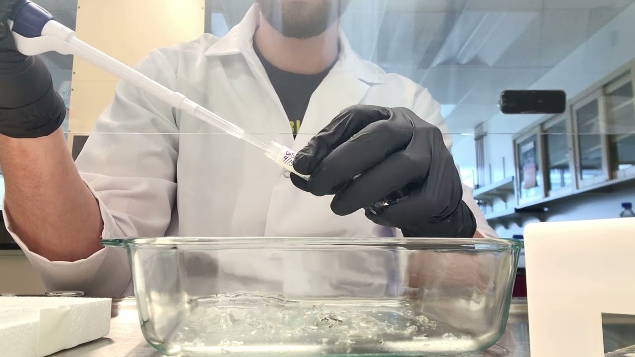 How to revive stored microbial cells (yeast and bacteria)