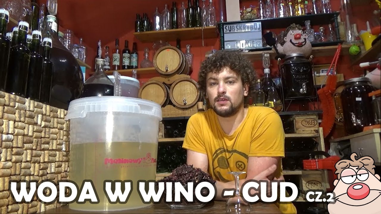 💬 Jak zmienić WODĘ w WINO? cz.2🍷 + HIBISKUS na zimno + Wino z Kaki ( butelkowanie)