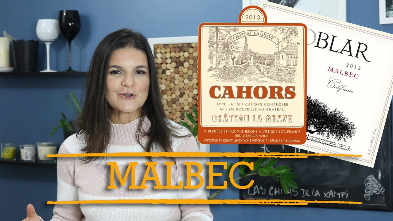 Vinho: Uva Malbec muito além da Argentina! | Marcia Anholeti