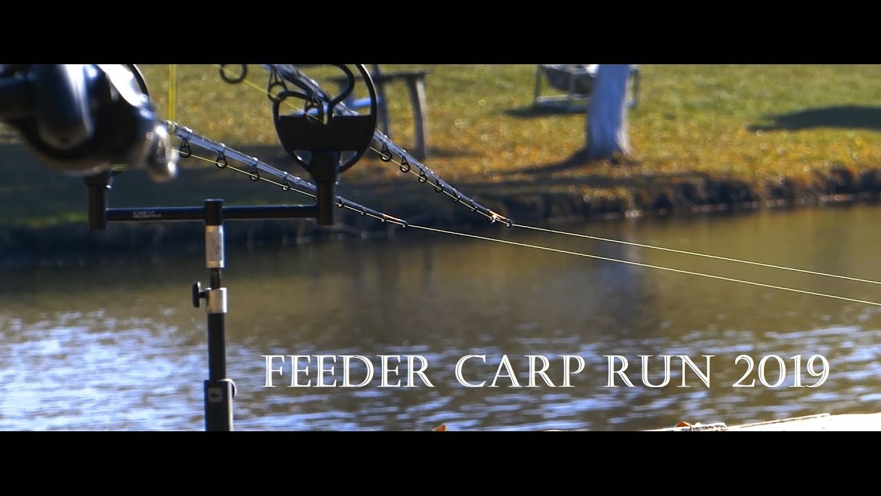 Feeder Carp Run 2019