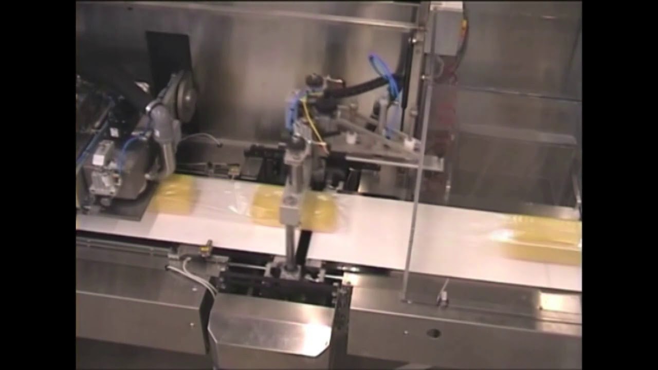 Delta FloBag Automatic Packaging Vacuum line for cheese blocks