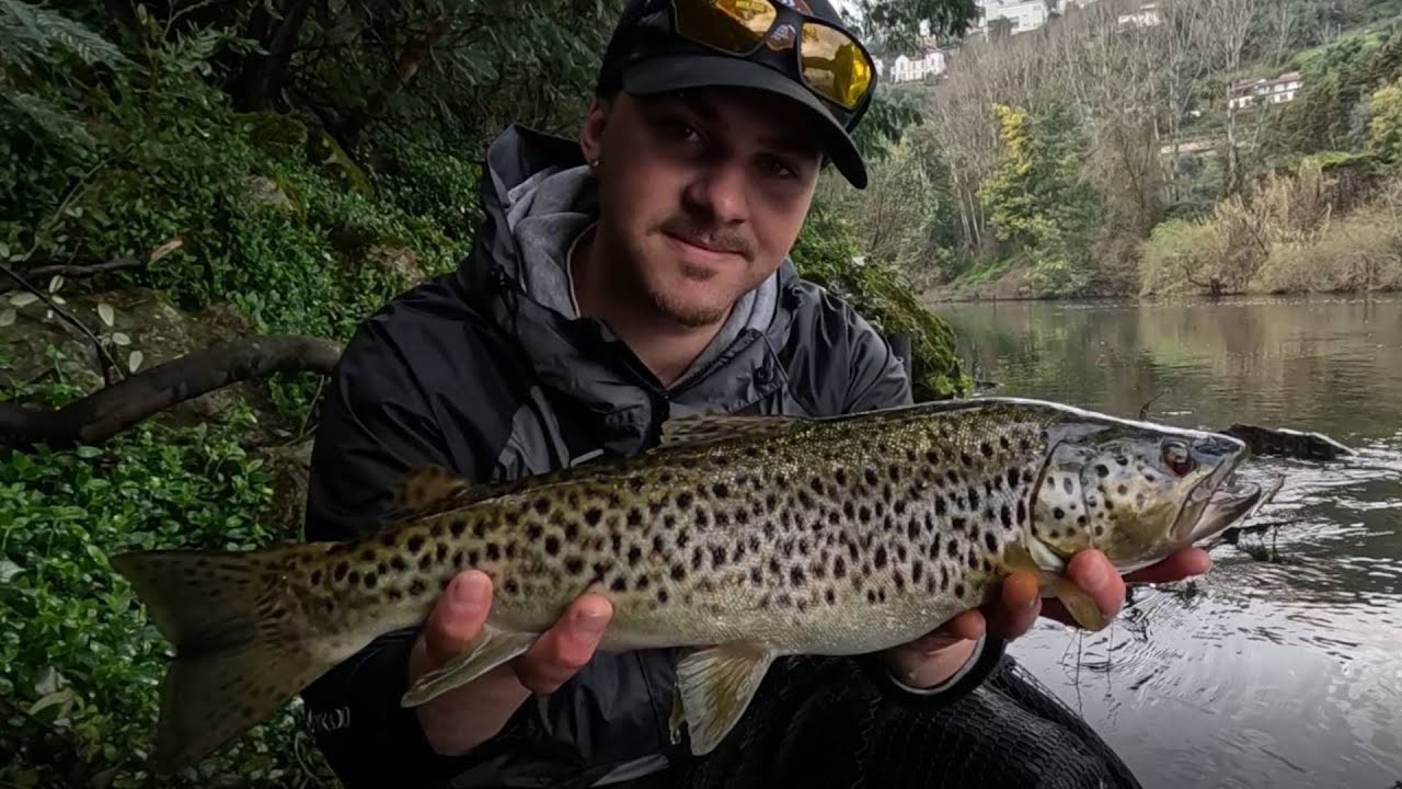 ! PESCA ÁS TRUTAS COM MIKADO SICARIO 8,5CM ! (+ 2 grandes capturas com Zé Rego )