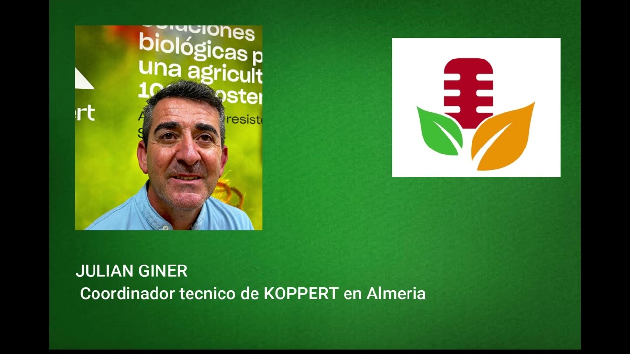JULIAN GINER Coordinador tecnico de KOPPERT en Almeria