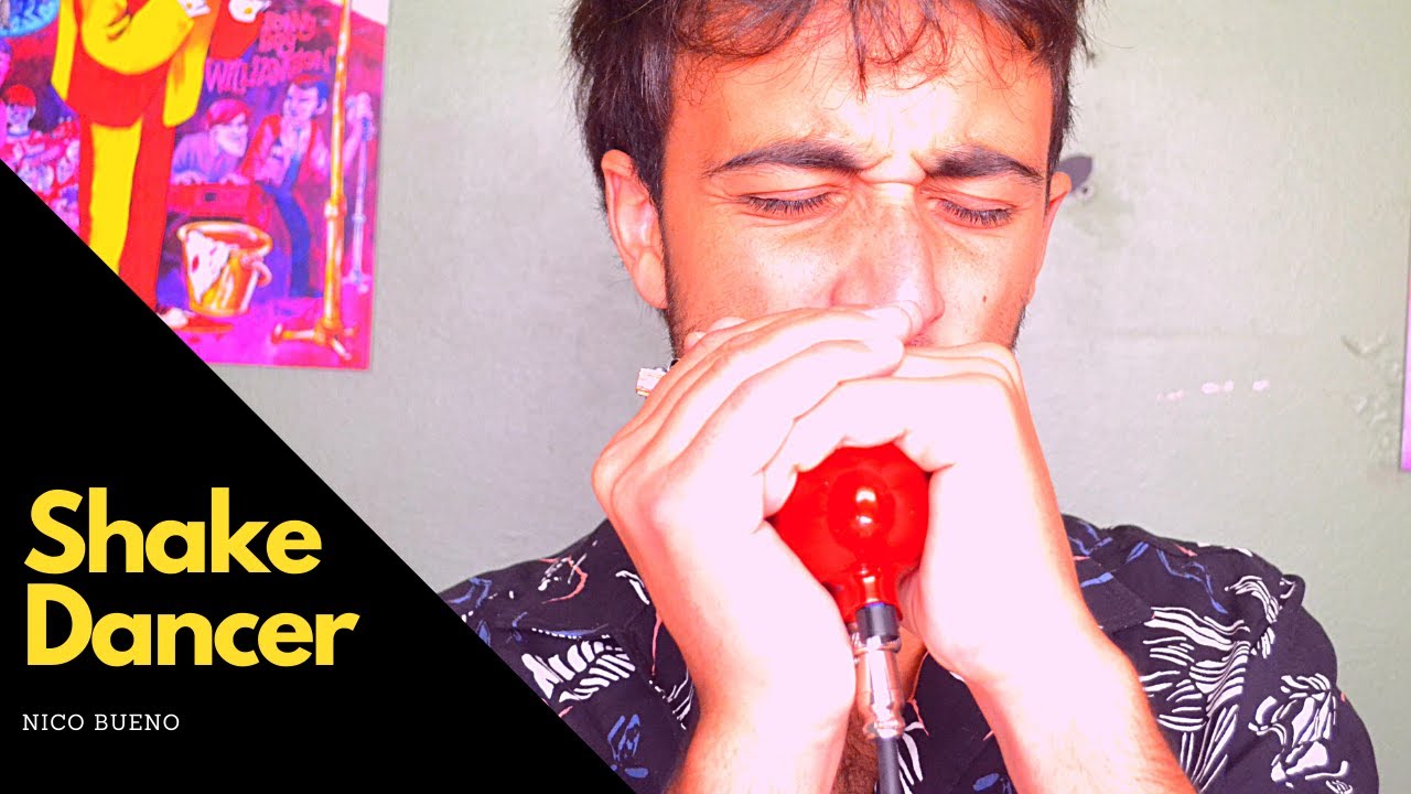 Shake Dancer - Little Walter harmonica instrumental cover  (Chicago blues) Nico Bueno