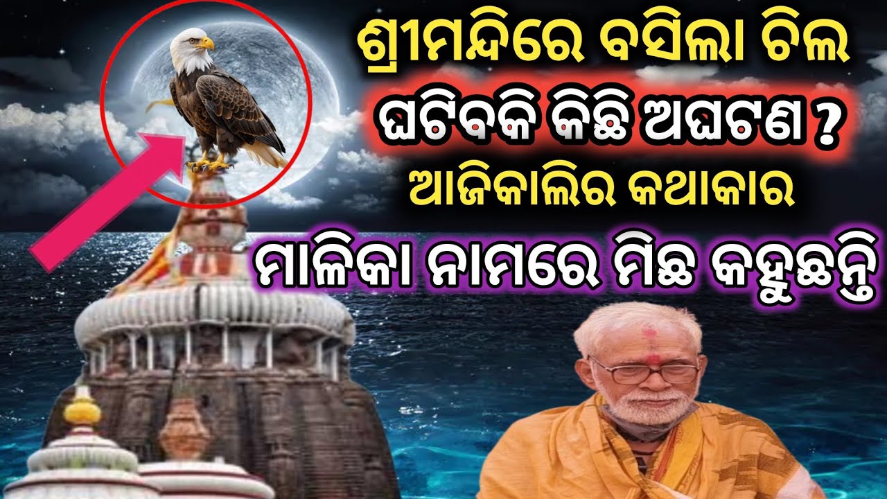 ଶ୍ରୀମନ୍ଦିର ପତିତପାବନରେ ବସିଲା ଚିଲ |କଣ ମିଳୁଛି ସଂକେତ |Shree Mandir |Jagannath Temple @nirmalyabhakti1 
