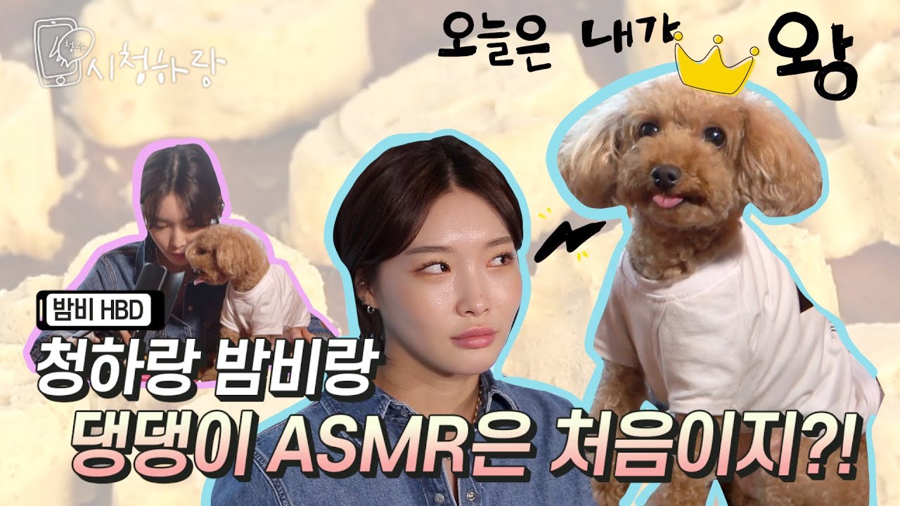 [CHUNG HA Vlog] EP 7. 밤비 생일 케이크 만들기ㅣ'C'HUNG HARANG 시청하랑