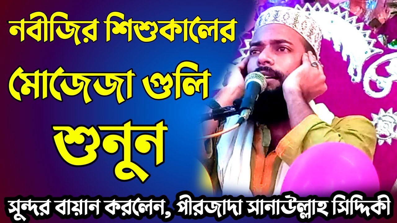 সানাউল্লাহ সিদ্দিকী ওয়াজ/pirzada sanaullah siddiqui jalsa  / New waz