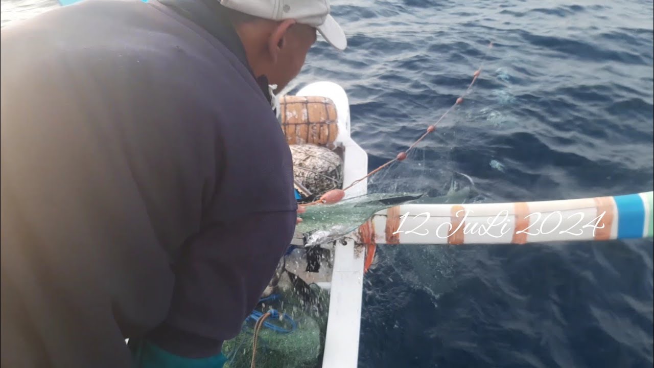 Menarik Jaring Ikan Tongkol Di Pagi Hari, Nelayan Tradisional Karangasem