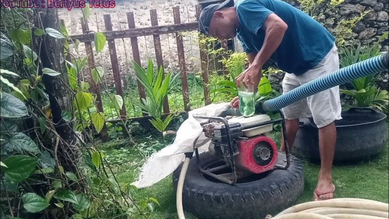 Aktivitas saya hari ini diiringi hujan dan awan gelap. Sedot air dan mencacah batang pisang