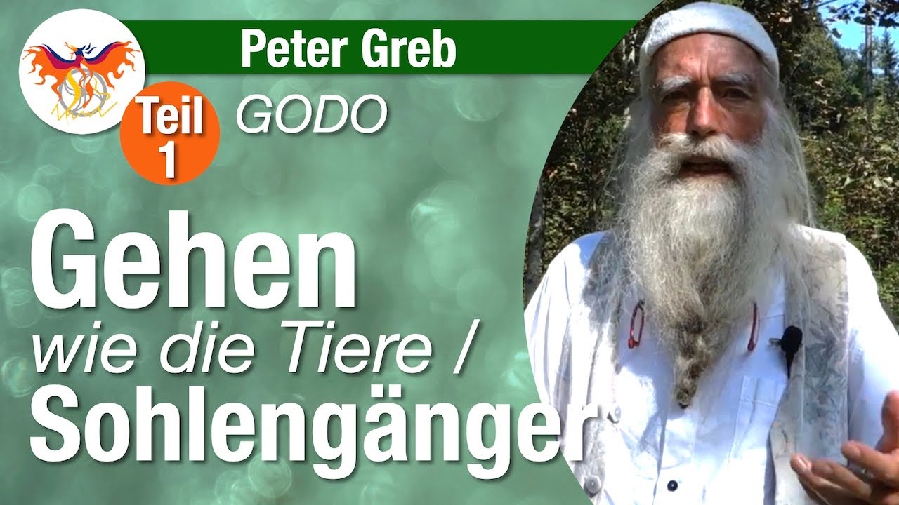 Vorfußgang GODO Teil 1