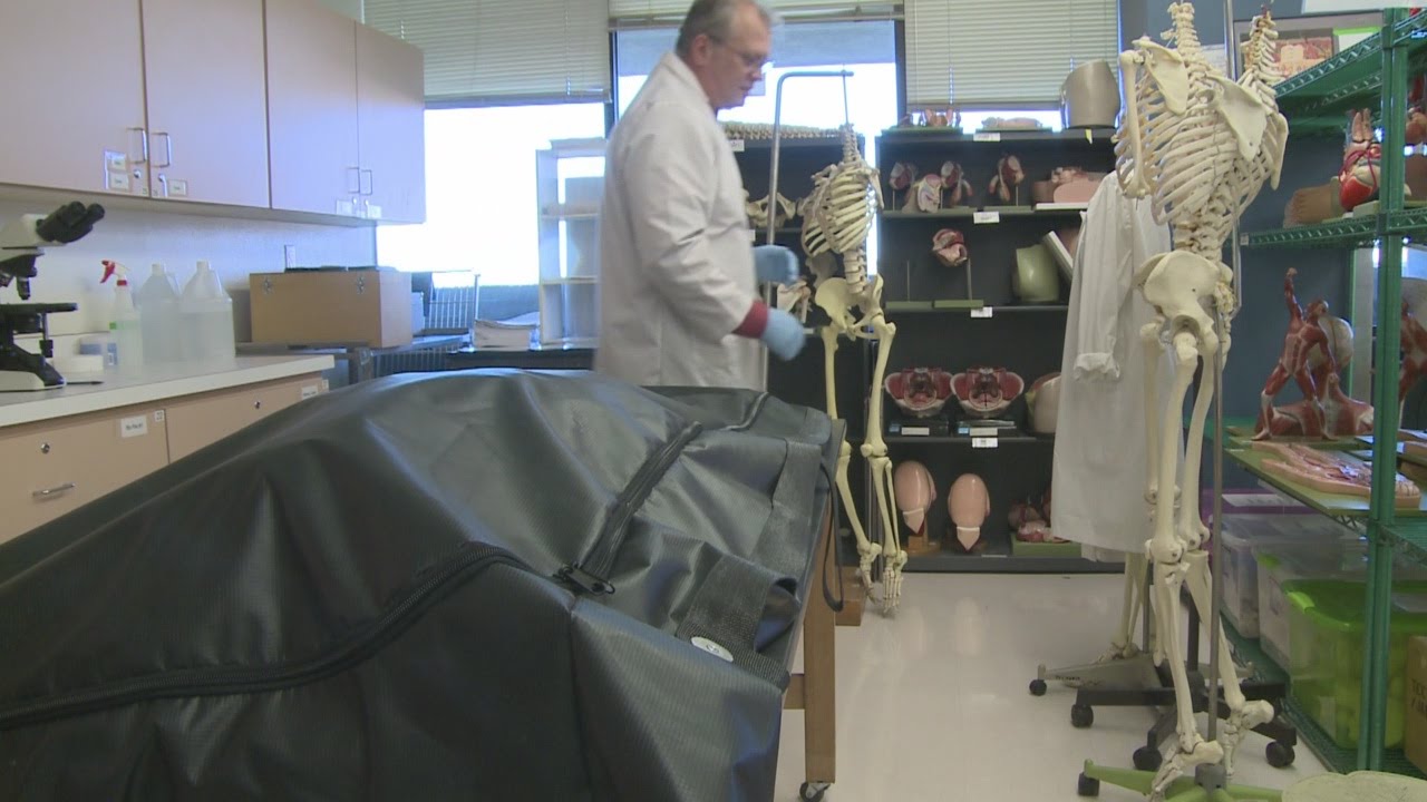 CNM gets synthetic cadavers