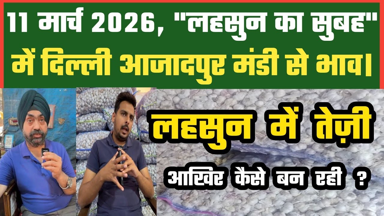 अब लहसुन क्या रहेगा तेज ? Azadpur Delhi Mandi Today 11-03-2026 को बने ऐसे Garlic Price DMT TV