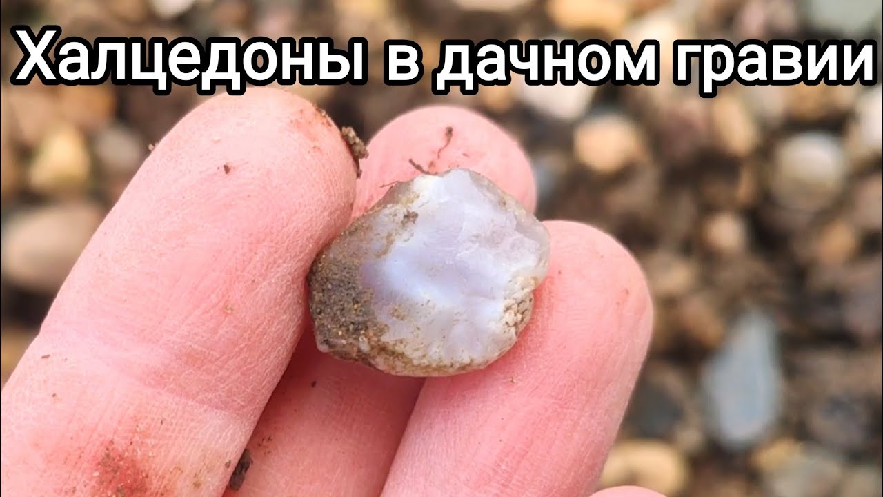 Собираем камни подмосковные халцедоны. Дачная куча гравия с дарами природы