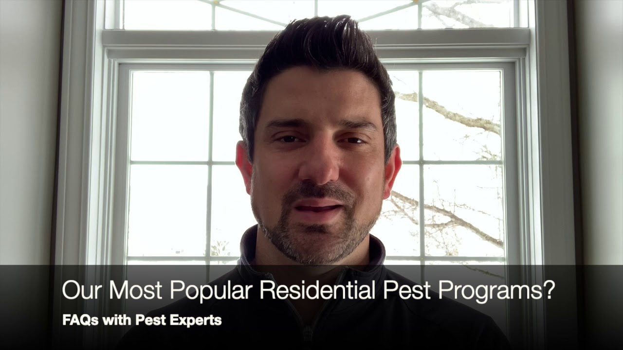 Our Most Popular Residential Pest Programs | Rochester Pest Experts