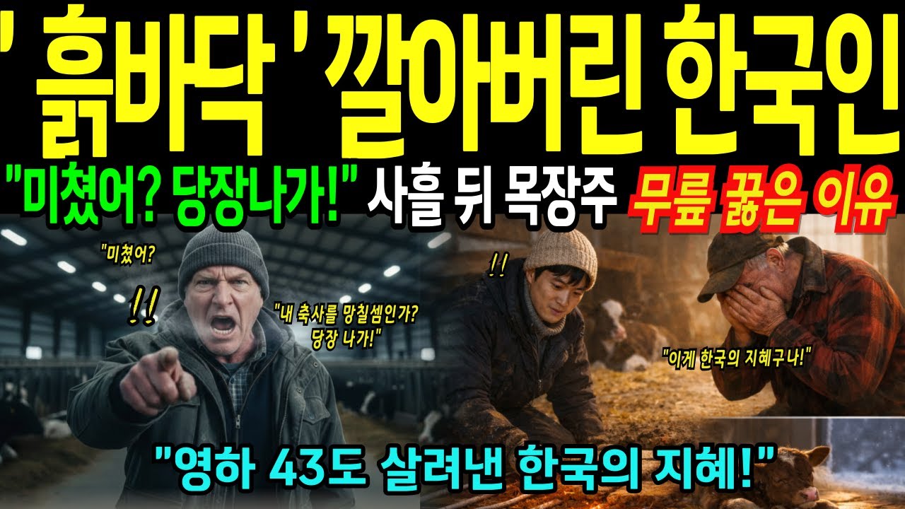 [해외감동사연] 