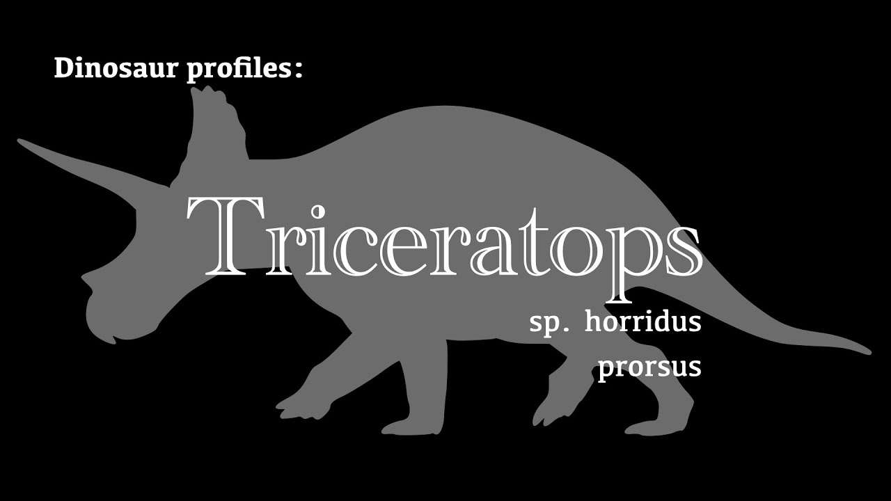 Dinosaur Profile Triceratops