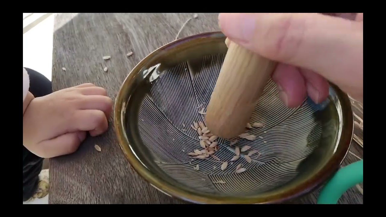 お茶碗1杯のお米プロジェクト！やっと更新です🫣