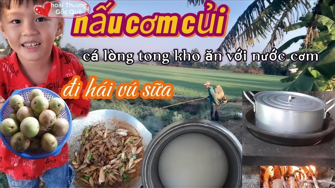 Nấu cơm củi , chắc nước cơm ,ăn với cá lòng tong kho tiêu , ngon hết sảy. 