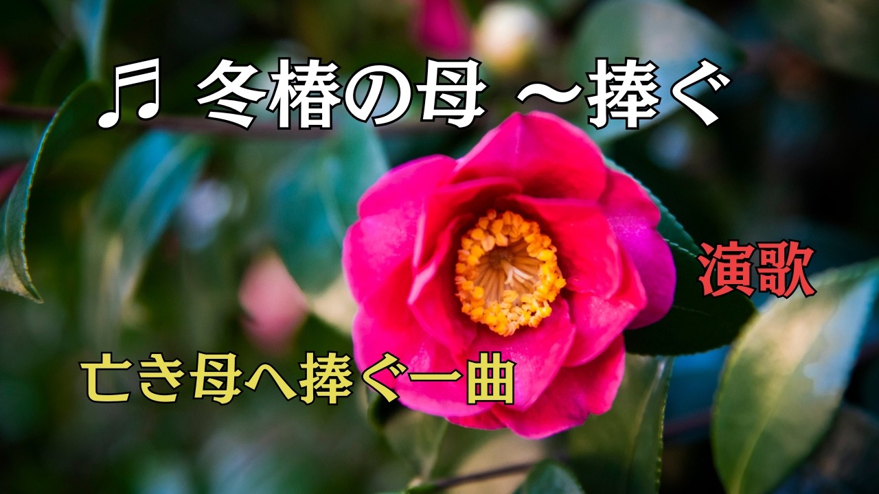 【新曲】冬椿の母｜昭和演歌の魂で唄う、亡き母への感謝  #演歌  #梅沢富美男   #泣ける歌