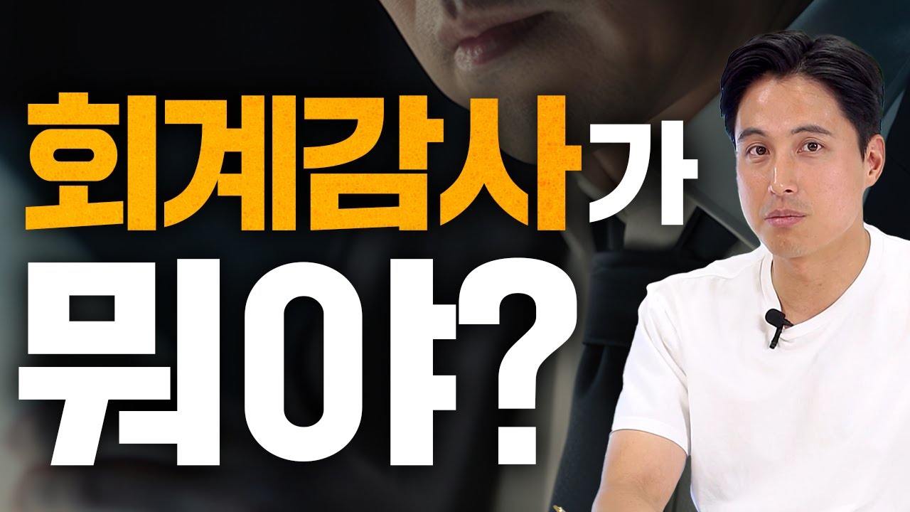 초등학생 조카도 이해하는 회계감사 총정리