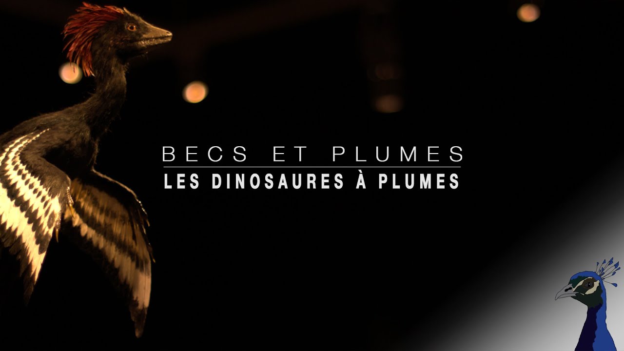 BECS ET PLUMES EPISODE 3: DINOSAURE A PLUME