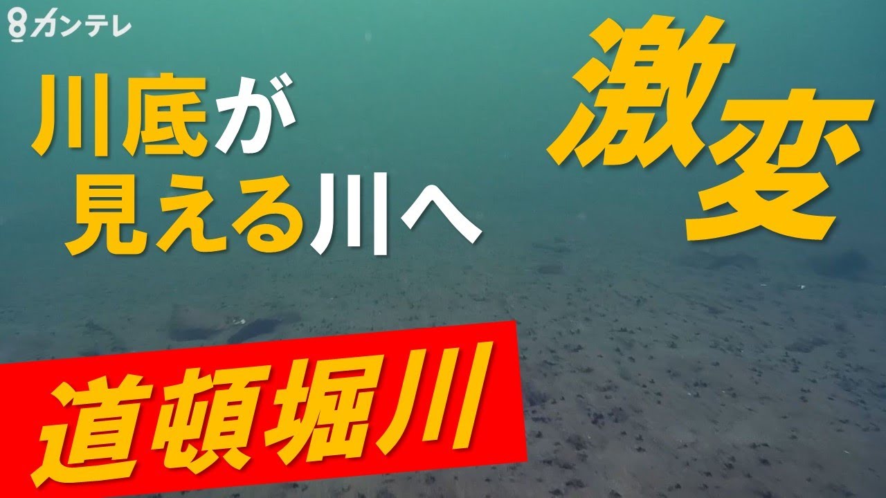 道頓堀川を「川底が見えるきれいな川」に！ かつては「ヘドロ」も…新技術で汚名返上へ【報道ランナー】