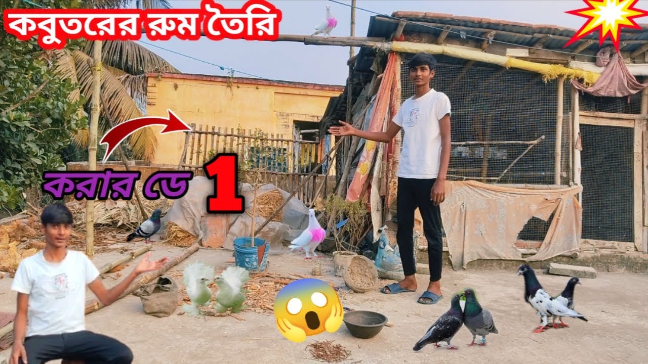 কবুতরের রুম তৈরি করার ডে ১ আজ থেকে শুরু করলাম। 🤗🤗