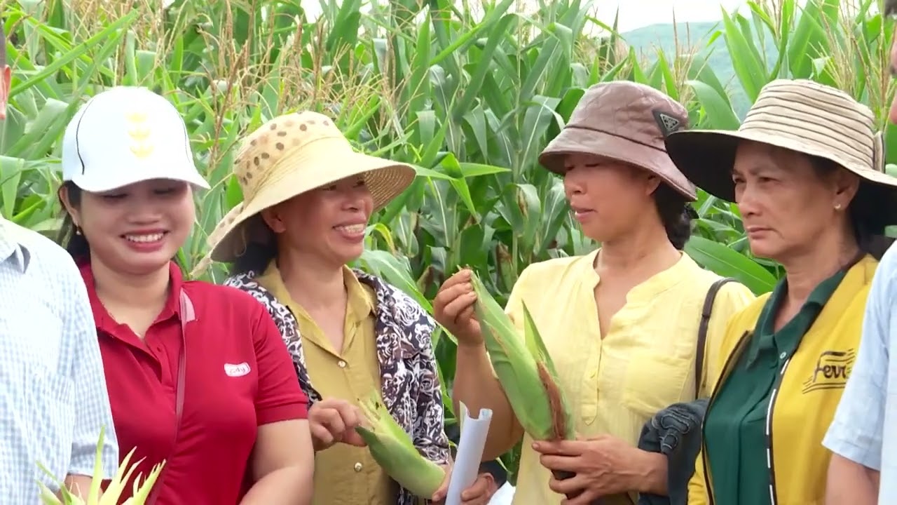 Khoa học & Cuộc sống Số 05-2024